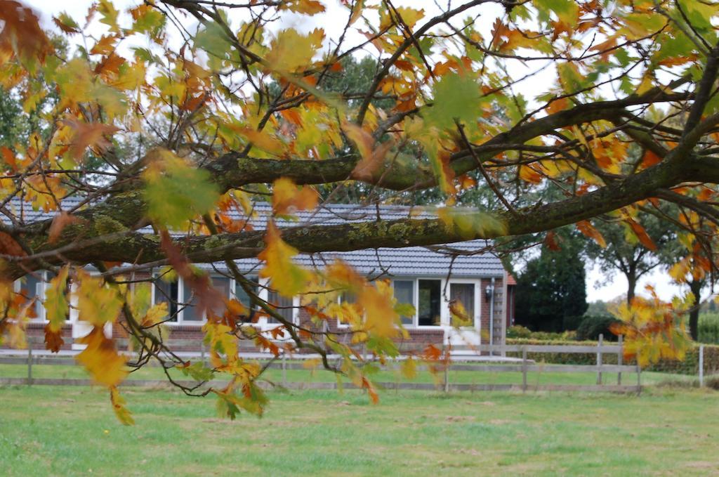 B&B Roodbeekerhof Vlodrop Dış mekan fotoğraf