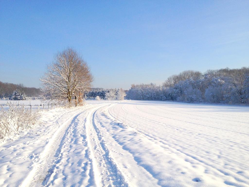 B&B Roodbeekerhof Vlodrop Oda fotoğraf
